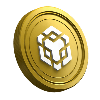 Strona przewodnika dla początkujących traderów o kryptowalucie BNB